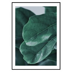 Комплект постерів в рамках "Leaf"