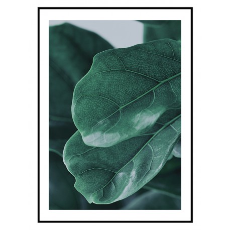 Комплект постеров в рамках "Leaf"