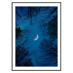 Комплект постеров в рамках "Whacko"