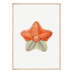 Постер "Nautical"