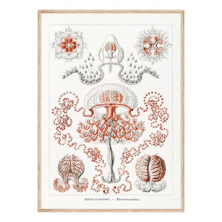 Постер "Nautical"