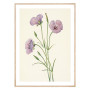 Постер "Lilac Mariposa. Botanical flowers"