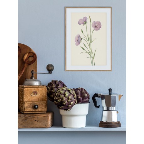 Постер "Lilac Mariposa. Botanical flowers"