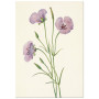 Постер "Lilac Mariposa. Botanical flowers"
