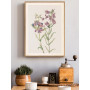 Постер "Prairie Pentstemon. Botanical flowers"