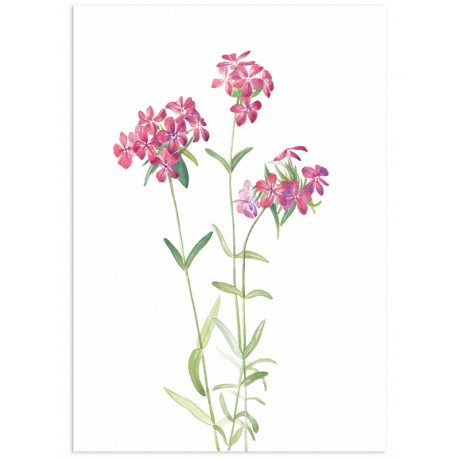 Комплект постерів "Botanical. Flowers"