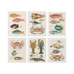 Комплект постеров "Botanical. Psychedelic Fishes"