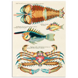 Комплект постерів "Botanical. Psychedelic Fishes"