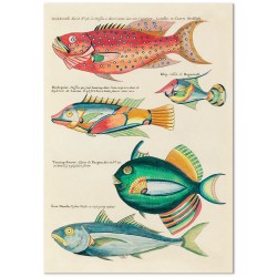 Комплект постеров "Botanical. Psychedelic Fishes"