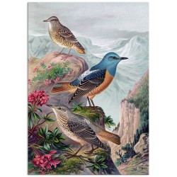 Комплект постерів "Botanical. Psychedelic birds"