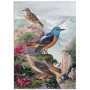 Комплект постерів "Botanical. Psychedelic birds"