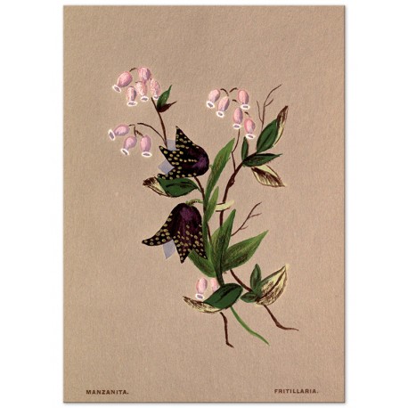 Комплект постерів "Botanical. Flowers"