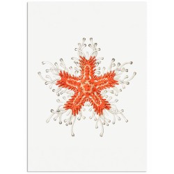 Комплект постерів "Botanical. Nautical"