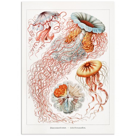 Комплект постерів "Botanical. Nautical" Комплект постерів "Botanical. Nautical"