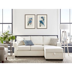 Комплект постеров "Botanical. Birds"