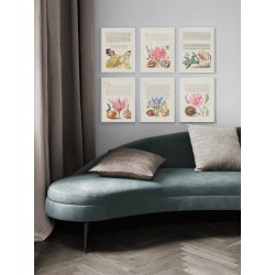 Комплект постеров в рамках "Flowers. Botany"