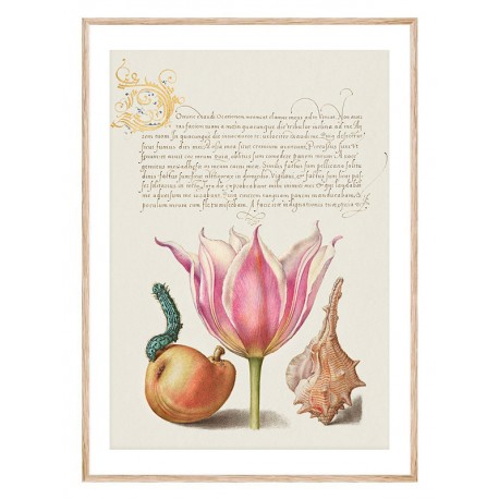 Комплект постеров в рамках "Flowers. Botany" Комплект постеров в рамках "Flowers. Botany"