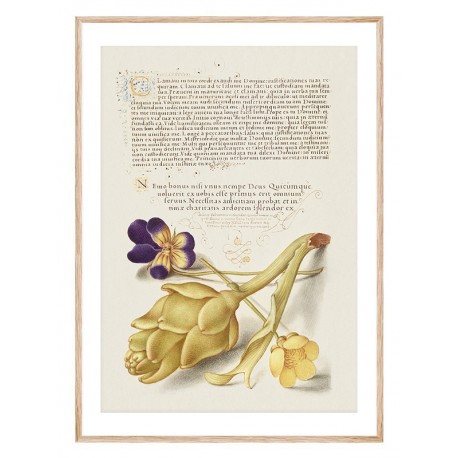 Комплект постеров в рамках "Flowers. Botany" Комплект постеров в рамках "Flowers. Botany"