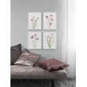Комплект постеров в рамках "Botanical. Flowers"