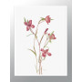 Комплект постеров в рамках "Botanical. Flowers"