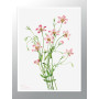 Комплект постеров в рамках "Botanical. Flowers"