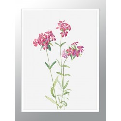 Комплект постеров в рамках "Botanical. Flowers"