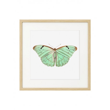 Комплект постеров в рамках "Botanical. Butterfly" Комплект постеров в рамках "Botanical. Butterfly"