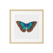 Комплект постеров в рамках "Botanical. Butterfly"