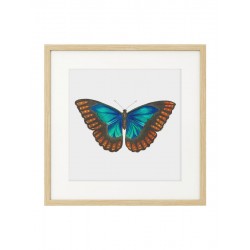 Комплект постеров в рамках "Botanical. Butterfly"