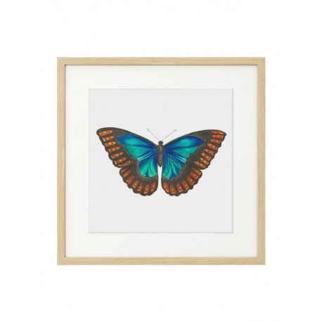 Комплект постеров в рамках "Botanical. Butterfly" Комплект постеров в рамках "Botanical. Butterfly"