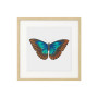 Комплект постерів в рамках "Botanical. Butterfly"