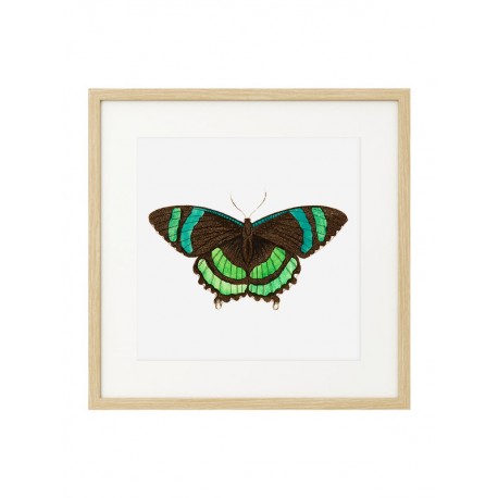Комплект постерів в рамках "Botanical. Butterfly"