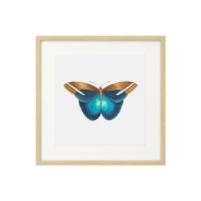 Комплект постеров в рамках "Botanical. Butterfly"