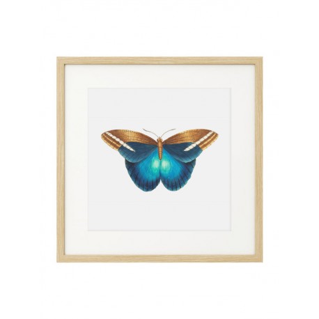 Комплект постеров в рамках "Botanical. Butterfly" Комплект постеров в рамках "Botanical. Butterfly"