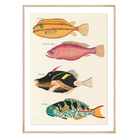 Комплект постеров в рамках "Botanical. Fish" Комплект постеров в рамках "Botanical. Fish"