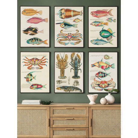 Комплект постеров в рамках "Botanical. Fish" Комплект постеров в рамках "Botanical. Fish"