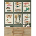 Комплект постеров в рамках "Botanical. Fish"