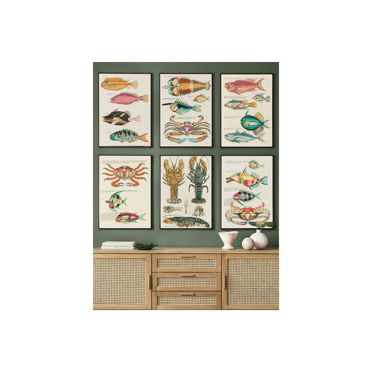 Комплект постеров в рамках "Botanical. Fish"