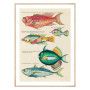 Комплект постеров в рамках "Botanical. Fish" Комплект постеров в рамках "Botanical. Fish"