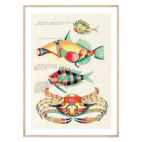 Комплект постеров в рамках "Botanical. Fish" Комплект постеров в рамках "Botanical. Fish"