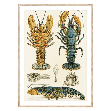 Комплект постеров в рамках "Botanical. Fish" Комплект постеров в рамках "Botanical. Fish"