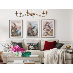 Комплект постерів в рамках "Botanical. Birds"