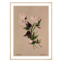 Комплект постерів в рамках "Botanical. Flowers"