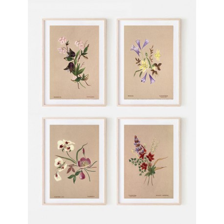 Комплект постеров в рамках "Botanical. Flowers"