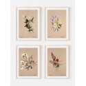 Комплект постеров в рамках "Botanical. Flowers"