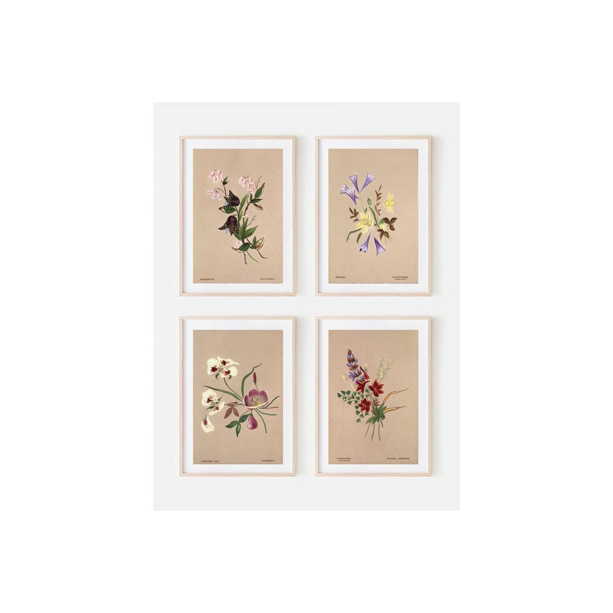 Комплект постеров в рамках "Botanical. Flowers"