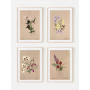 Комплект постеров в рамках "Botanical. Flowers"