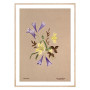 Комплект постеров в рамках "Botanical. Flowers"