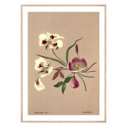 Комплект постеров в рамках "Botanical. Flowers"