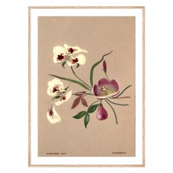 Комплект постеров в рамках "Botanical. Flowers"